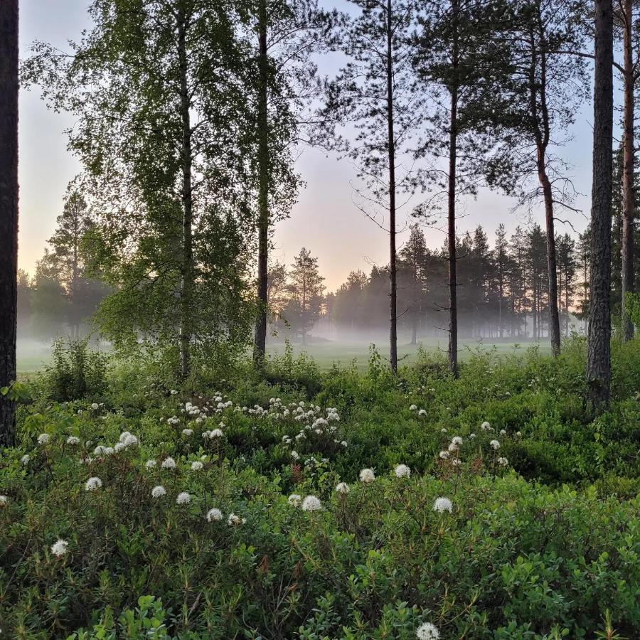 Siikavilla, Siikajoki ภายนอก รูปภาพ